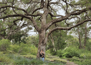 Welcome! New Health Mentors Program Coordinator Betsa Parsa